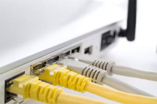 Router cables that connect LAN devices